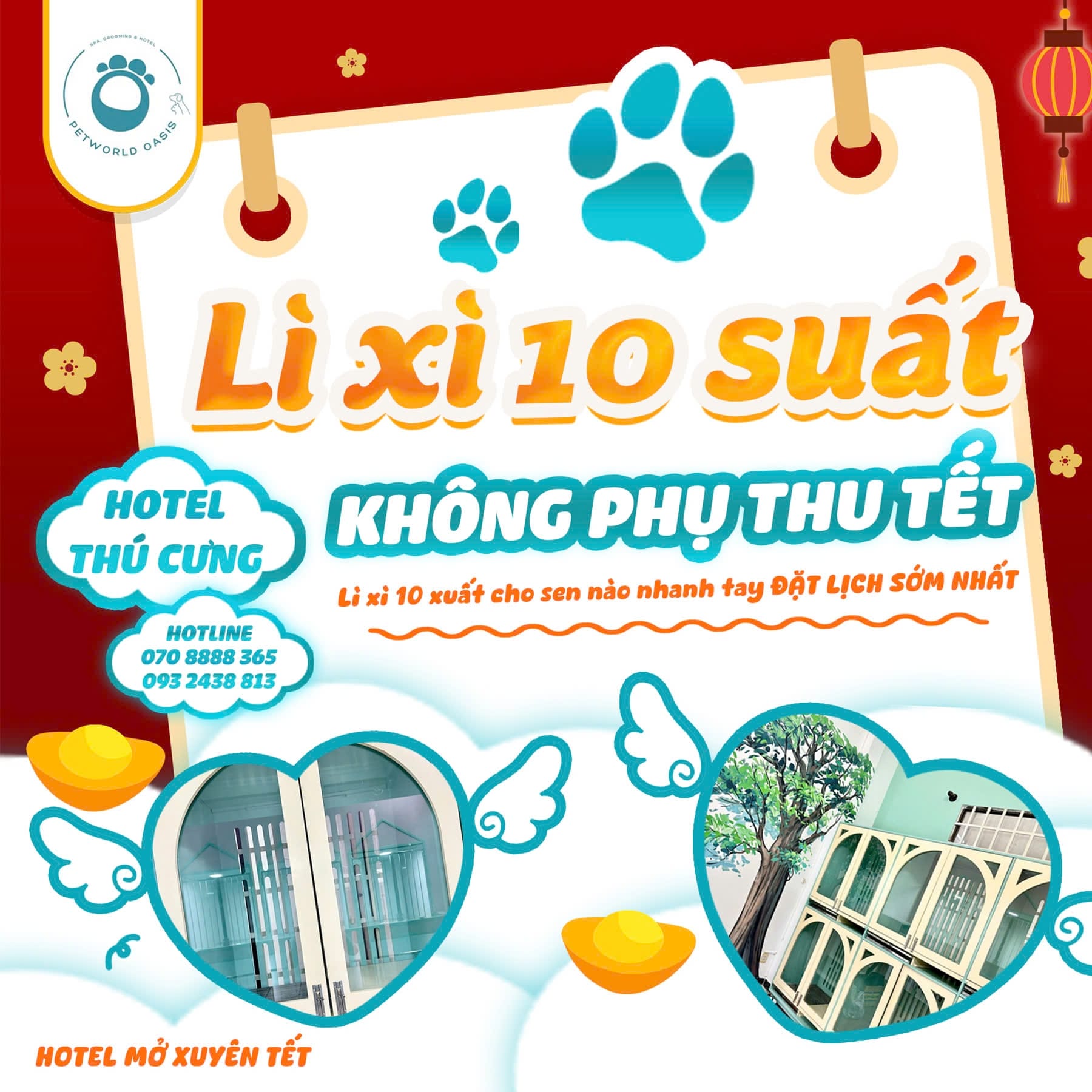 Pet Hotel Không Phụ Phí Tết - Dịch vụ chăm sóc thú cưng tại Petworld Oasis.