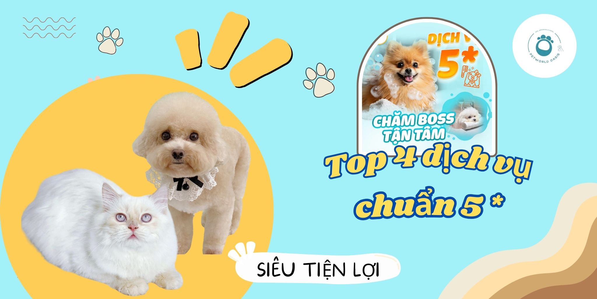 Dich vu thu cung tai Binh Thanh