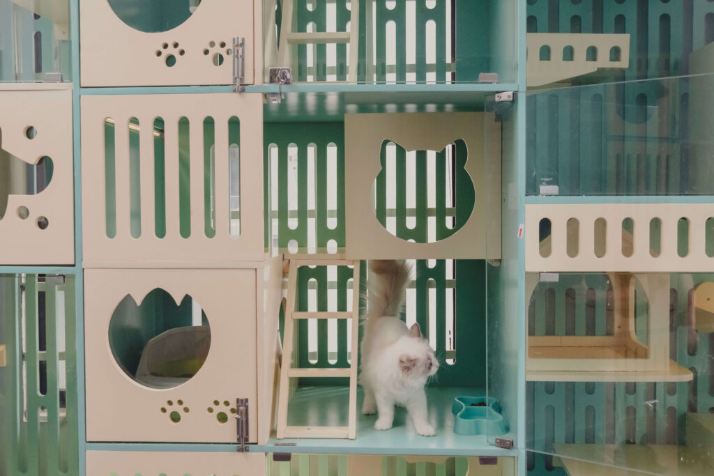 Dich vu Pet hotel tai Binh Thanh
