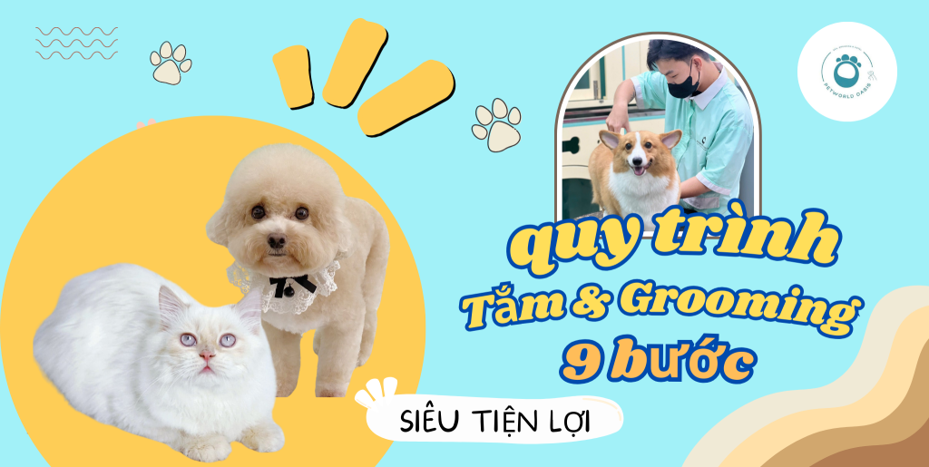 quy trình Tắm và Grooming