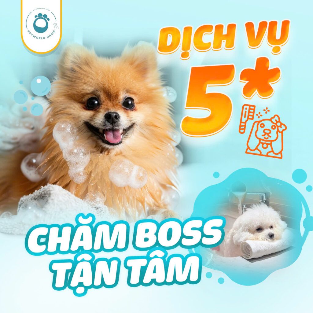 Tam & Grooming chuyen sau