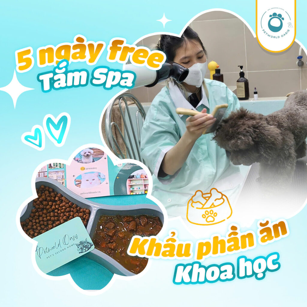 Dịch vụ Khách sạn thú cưng quận Bình Thạnh