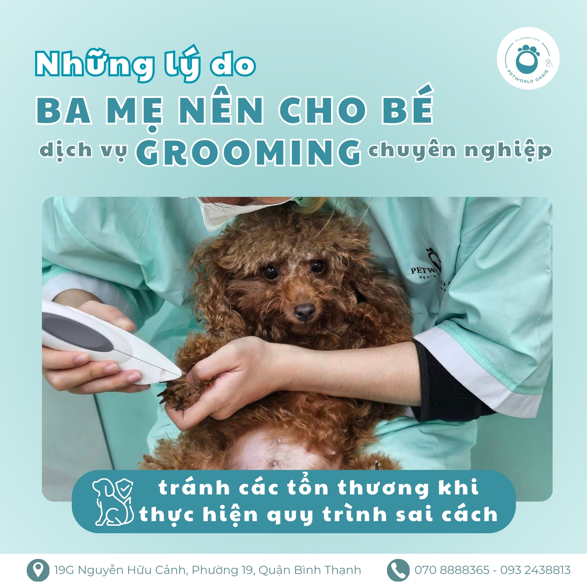 quy trình Tắm & Grooming tai Binh Thanh