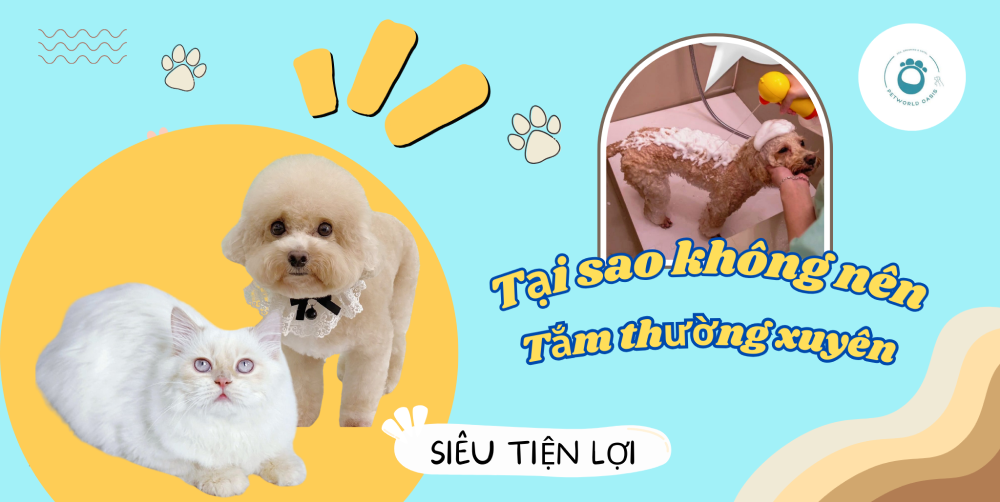 Tam cho thu cung