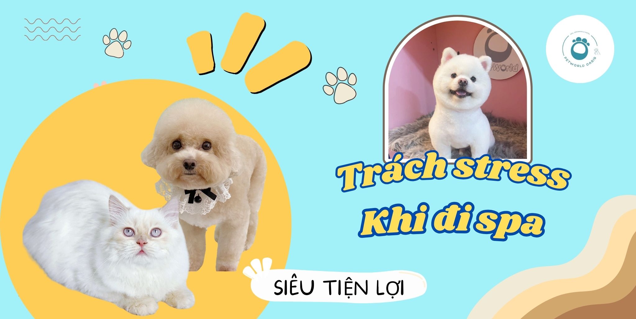 Thú cưng stress khi đi spa
