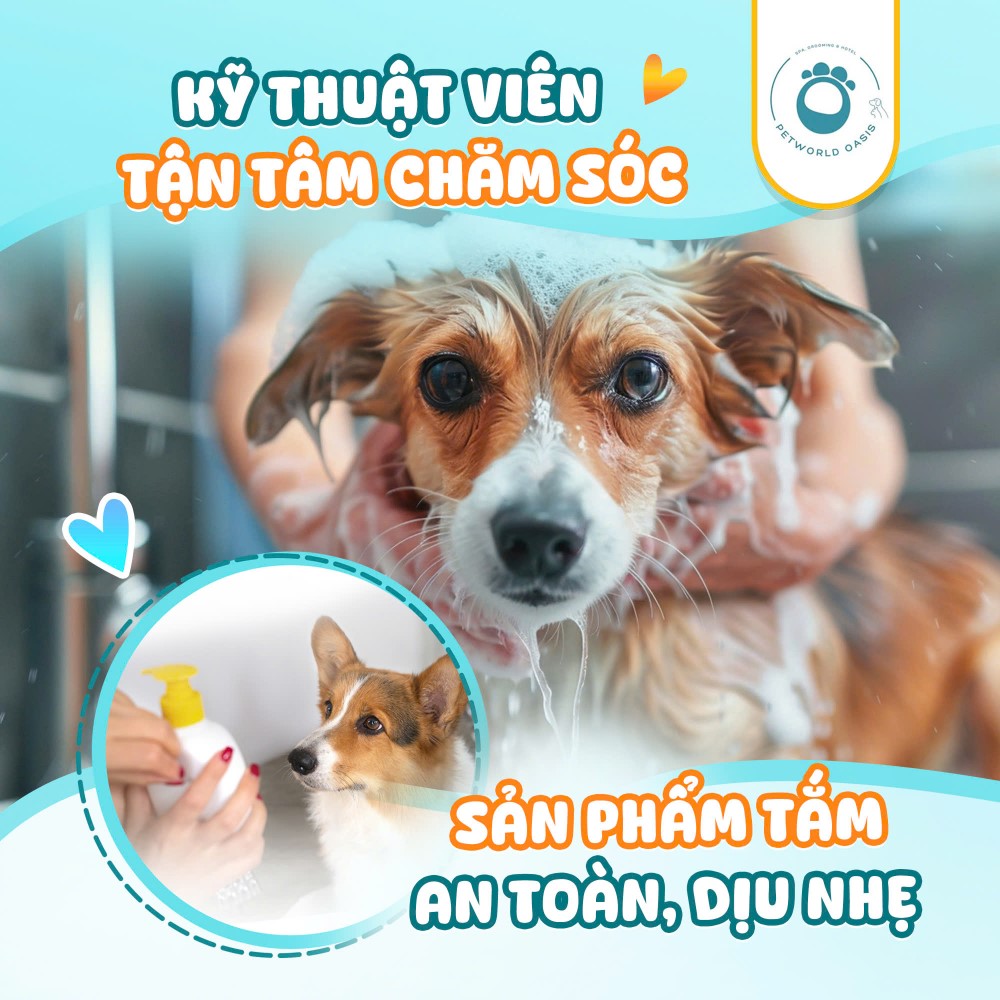 Cham soc thu cung tai nha