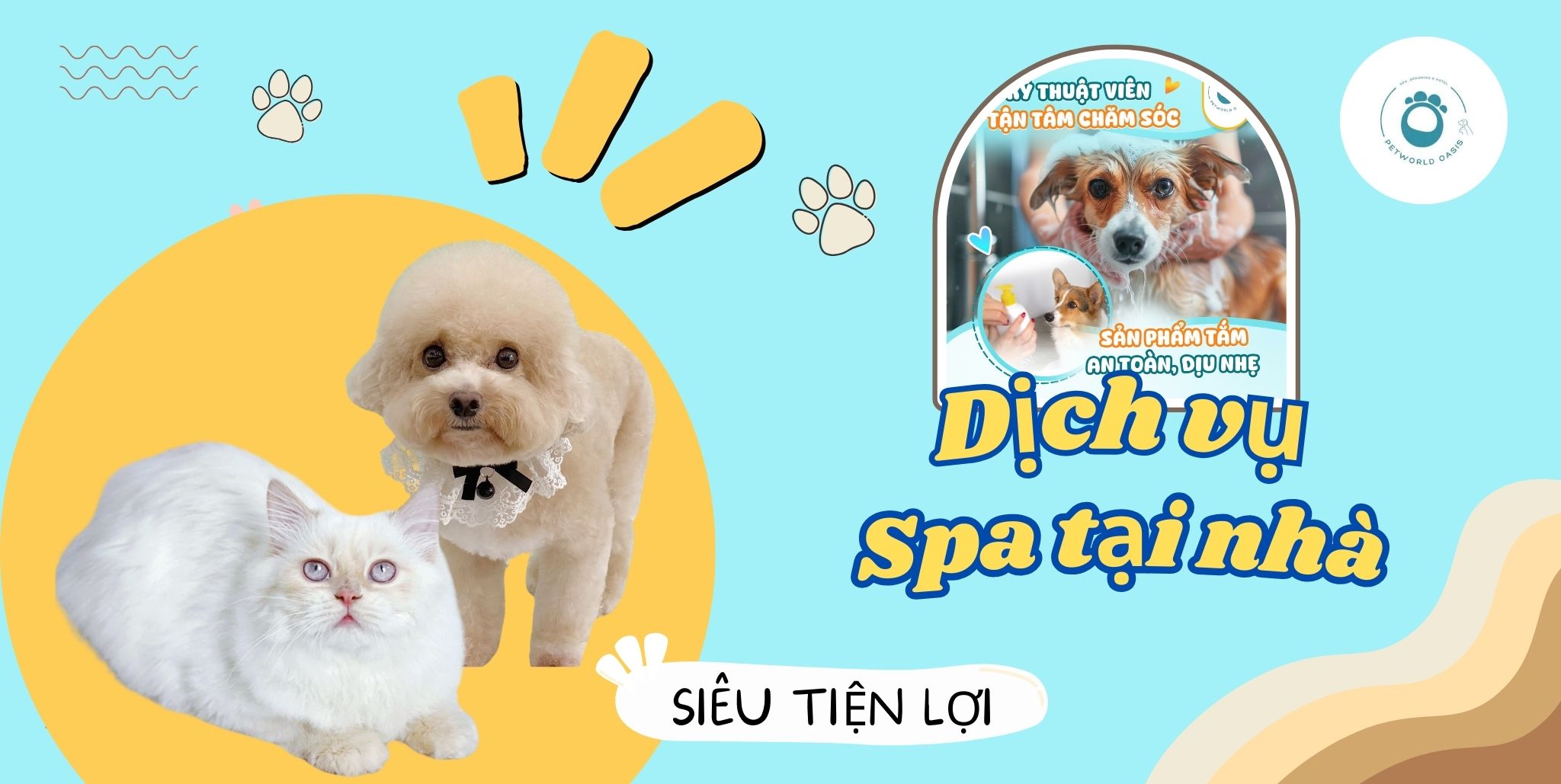 Spa Tại Nhà Cho Pet Cưng