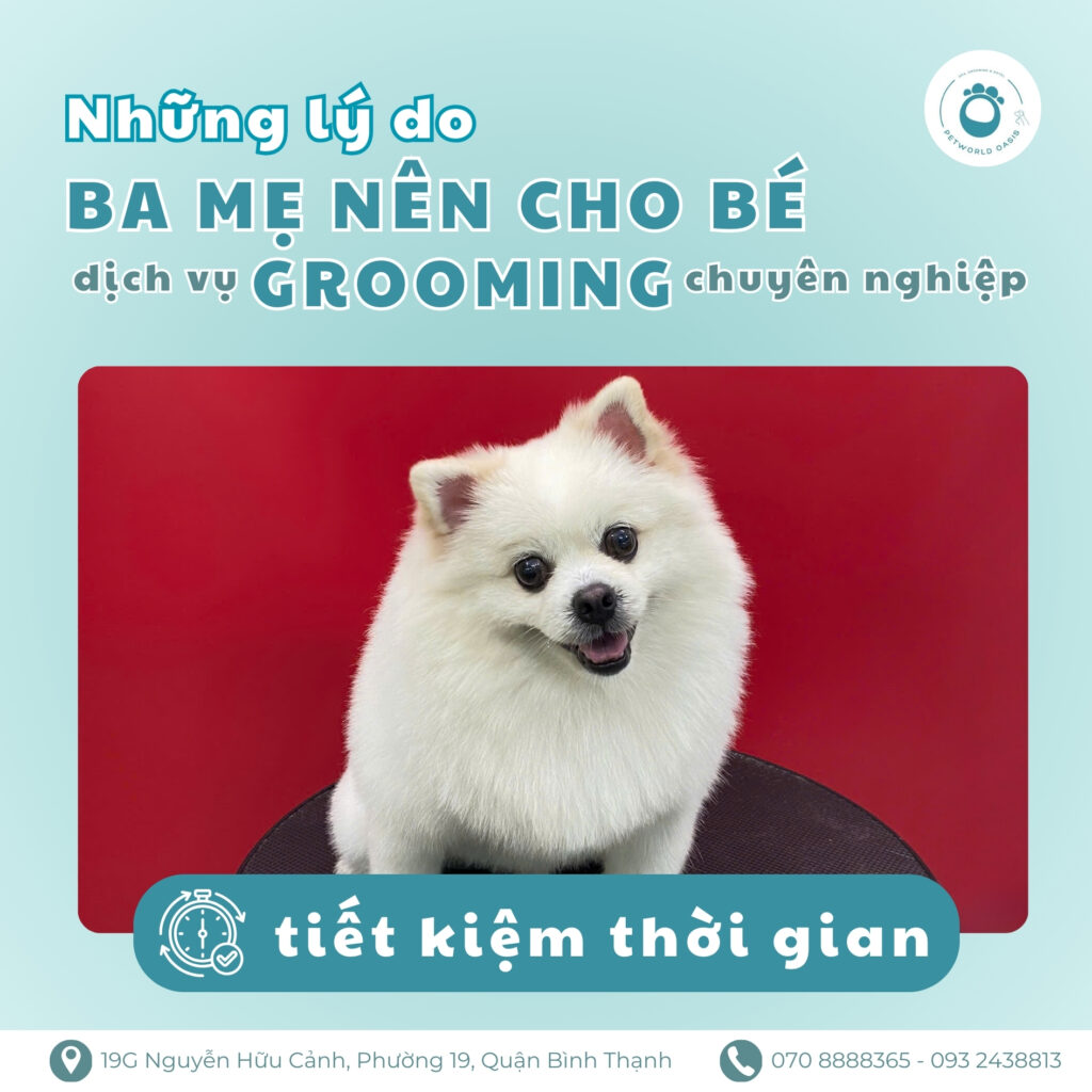 Thú cưng stress khi đi spa