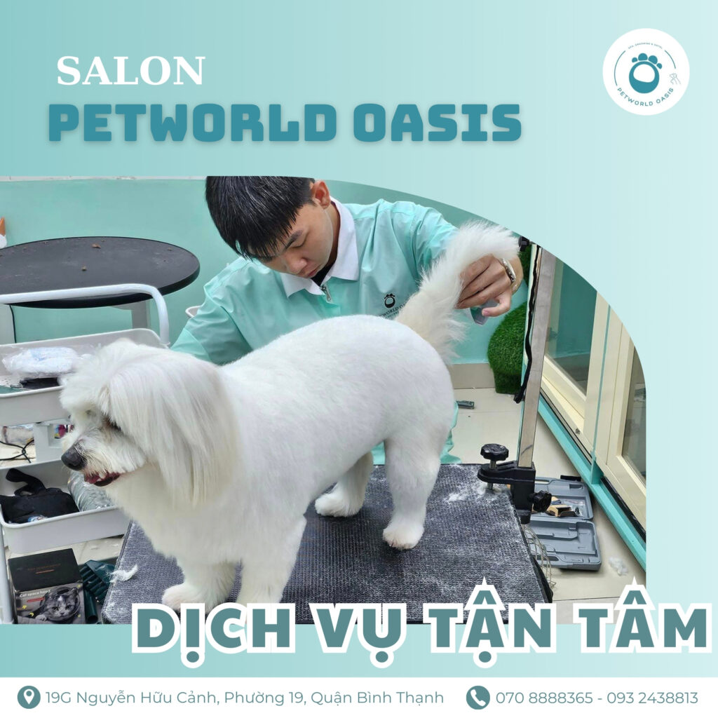 Tắm và Grooming Thú Cưng