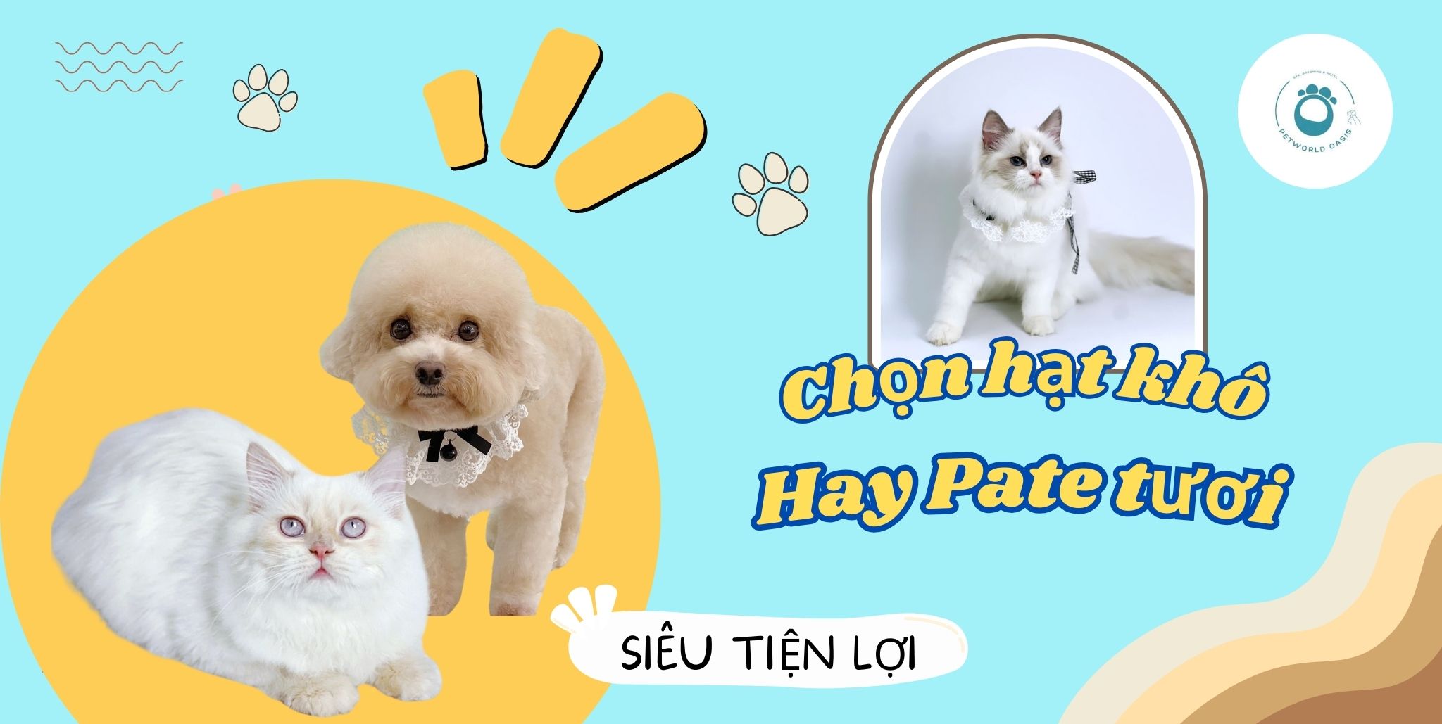 Hạt Khô Hay Pate Tươi