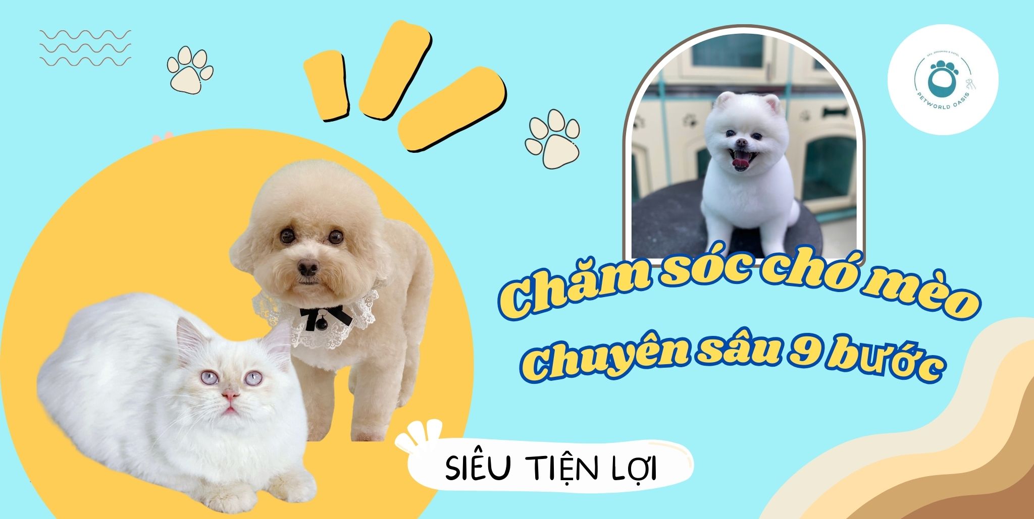 Chăm sóc chó mèo chuyên sâu