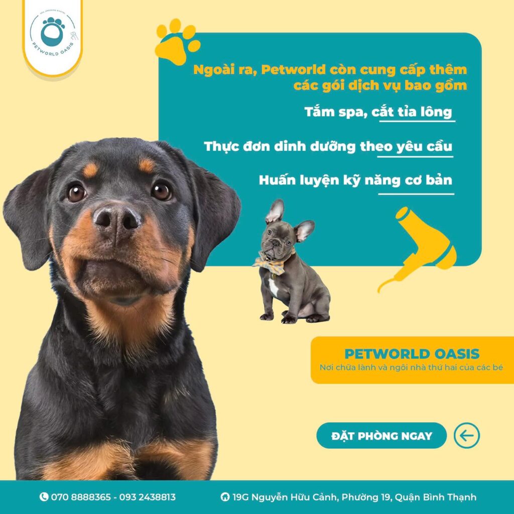 Pet hotel ở Bình Thạnh PET WORLD OASIS