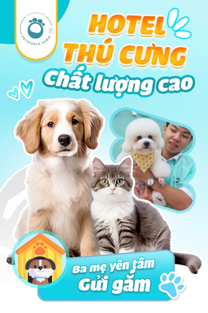 Pet hotel ở Bình Thạnh chuyên nghiệp