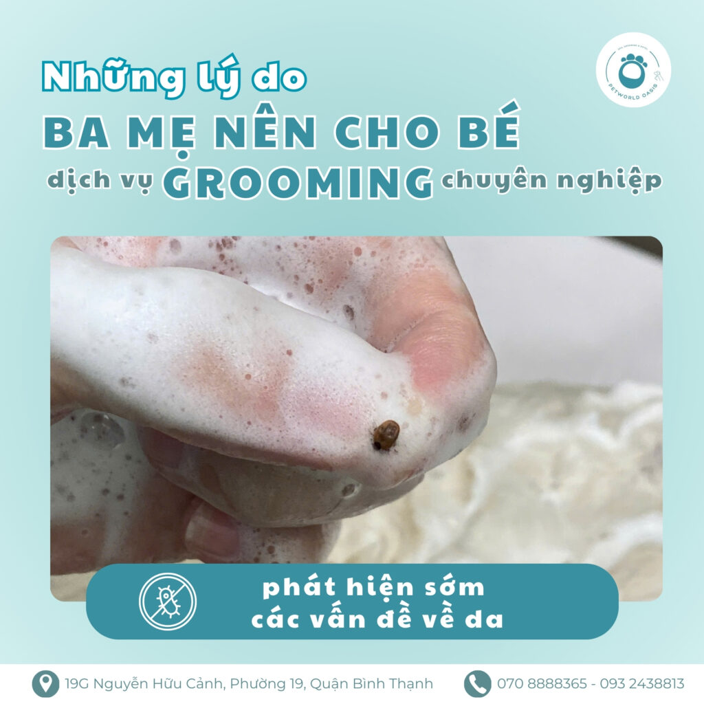 Grooming Cho Chó Mèo