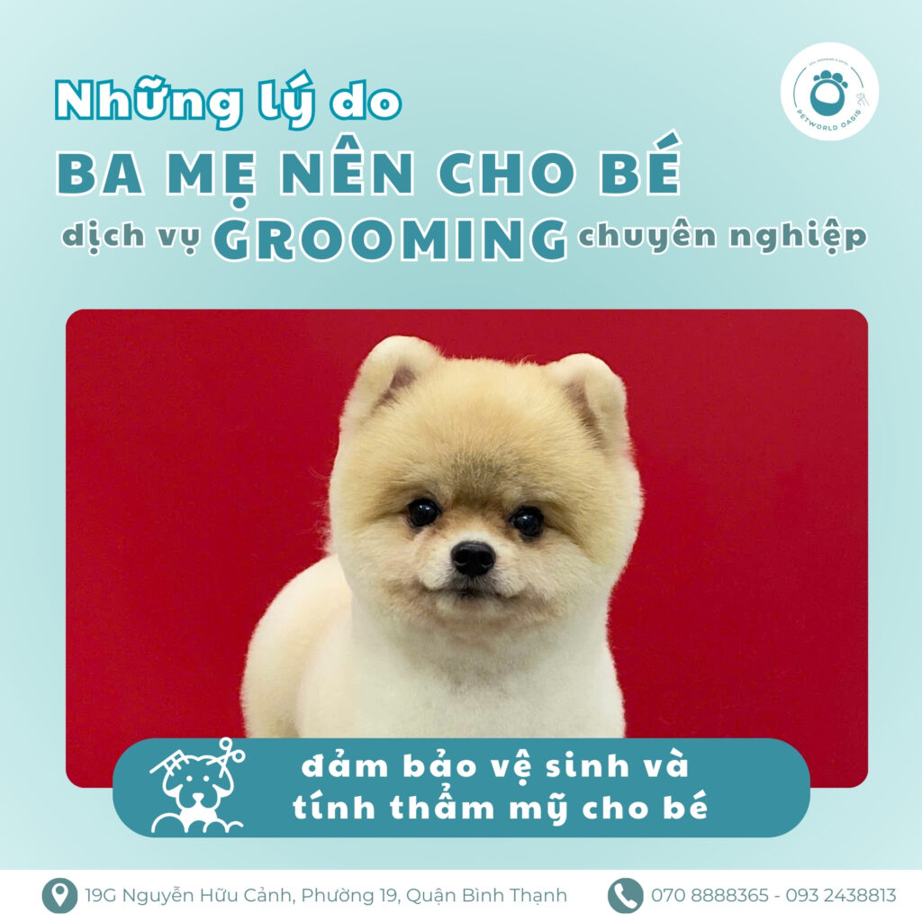 Dịch vụ grooming cho chó mèo 