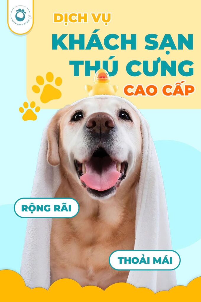 Dịch vụ Khách sạn thú cưng tại Bình Thạnh