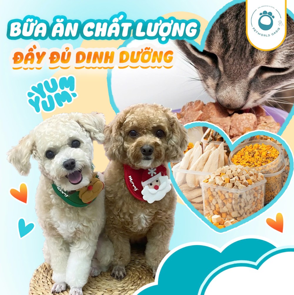 Lịch Sinh Hoạt Cho Thú Cưng