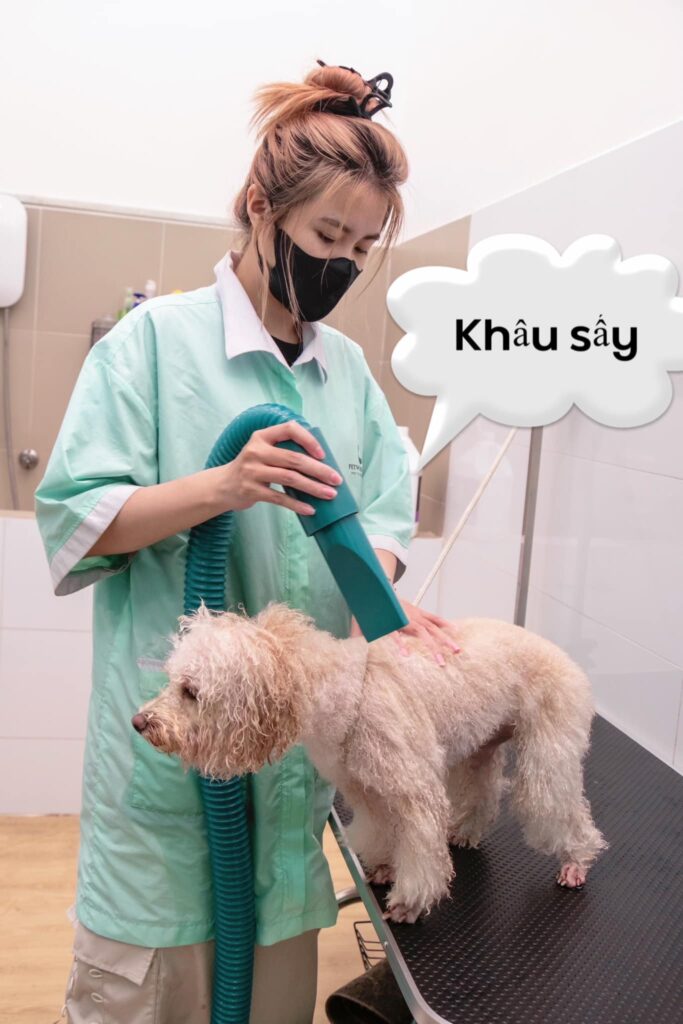 Chăm sóc chó mèo Bình Thạnh