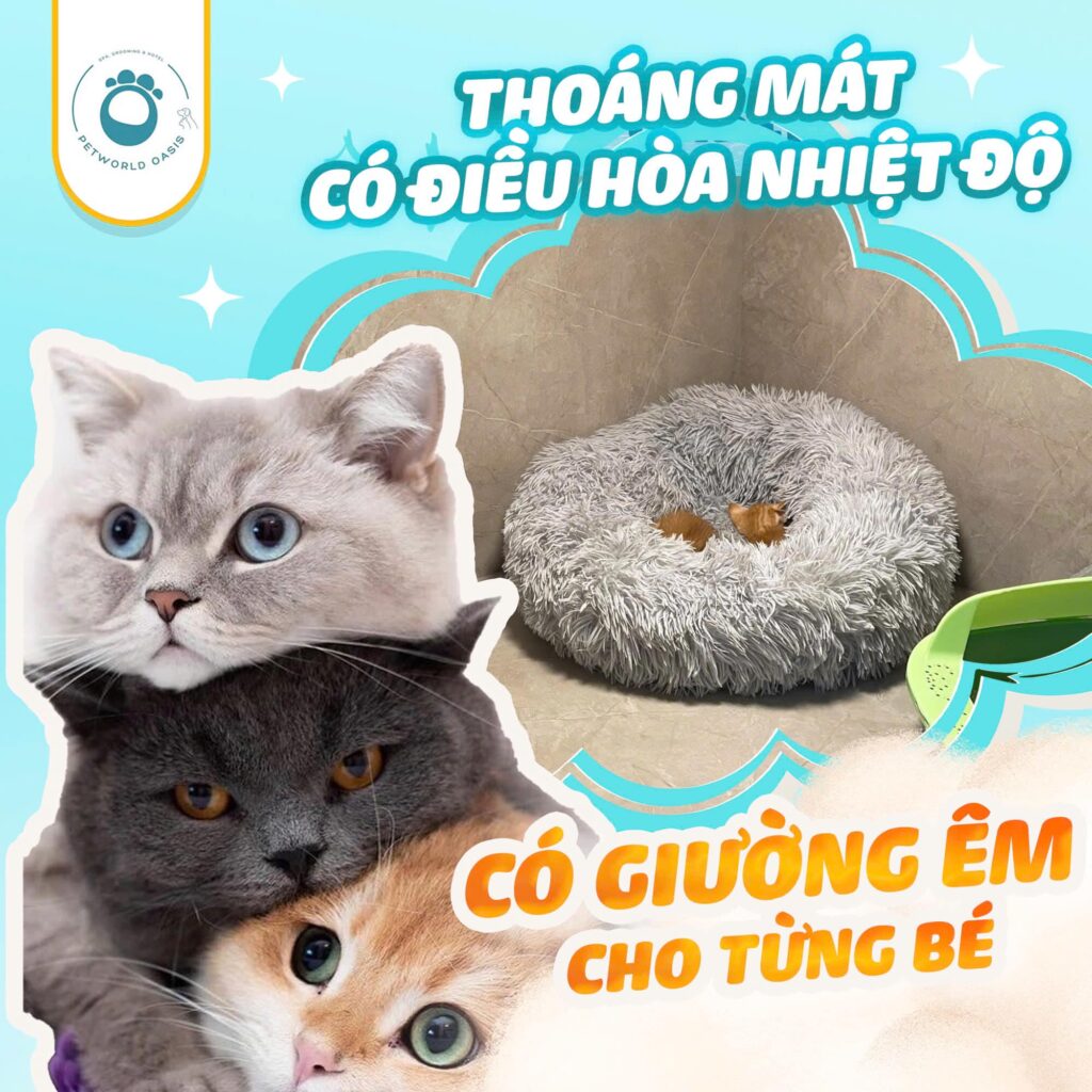 Nệm cho chó mèo 