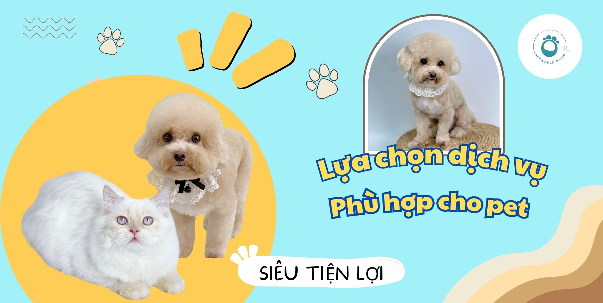 Dịch vụ spa cho pet tại nhà