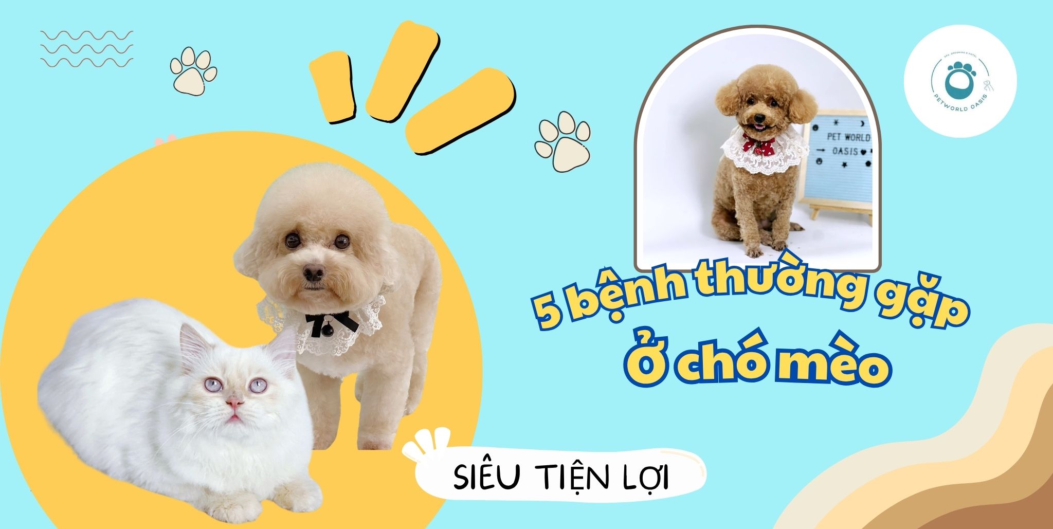 bệnh thường gặp ở chó mèo