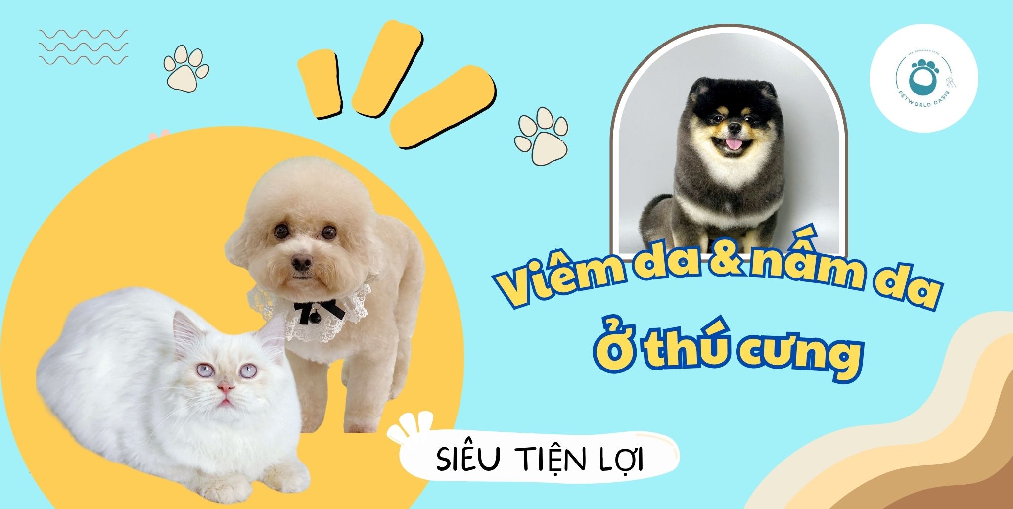 Viêm da và nấm da ở thú cưng