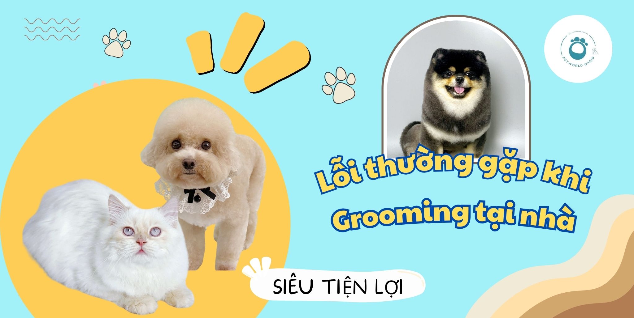 Tự chăm sóc lông thú cưng
