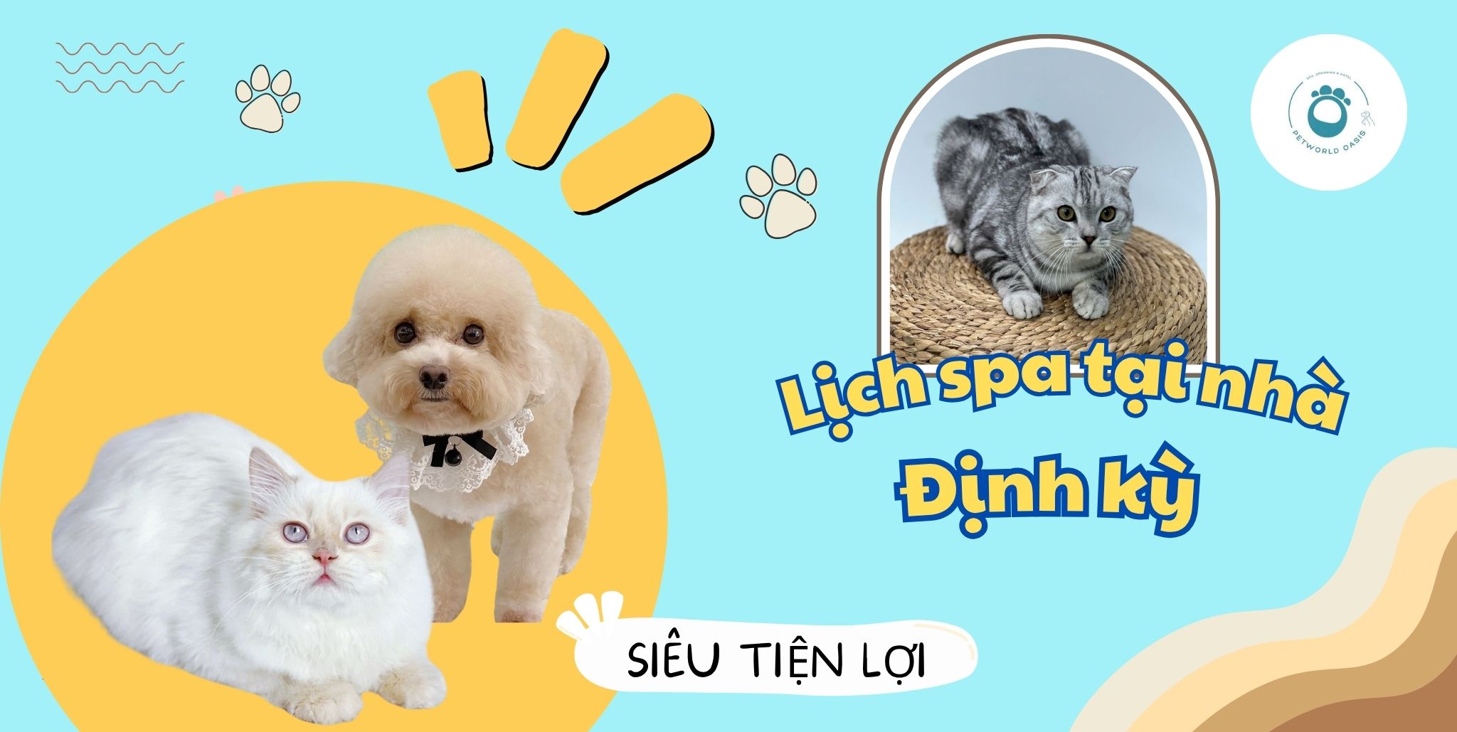 Lịch spa thú cưng
