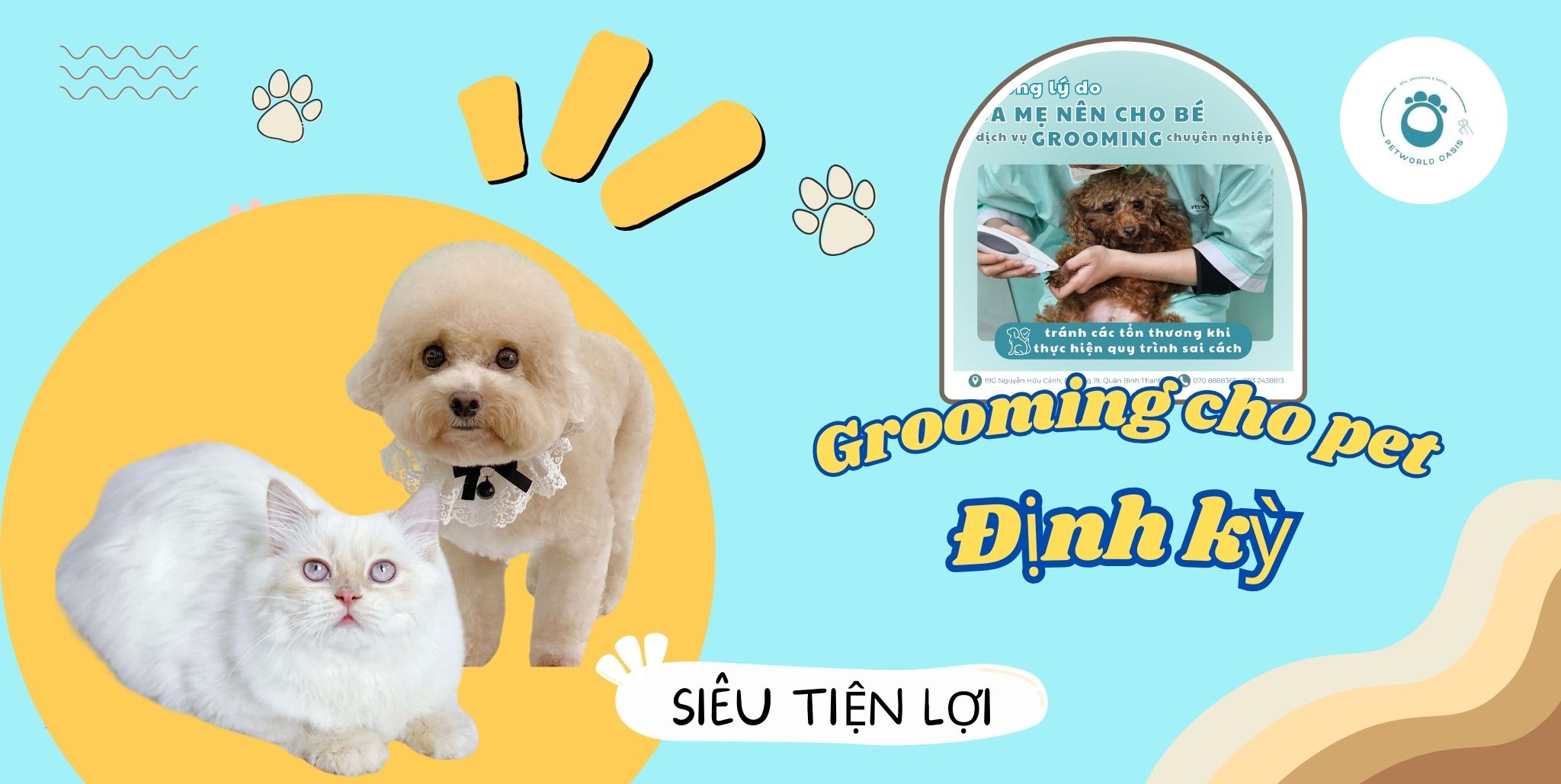 Grooming chuyên sâu tại Bình Thạnh
