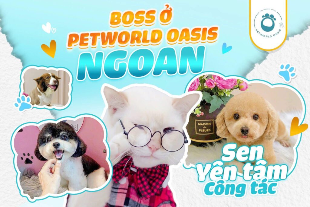 Gửi thú cưng ở khách sạn