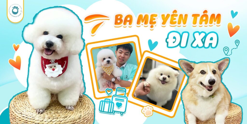 Dịch Vụ Thú Cưng TPHCM