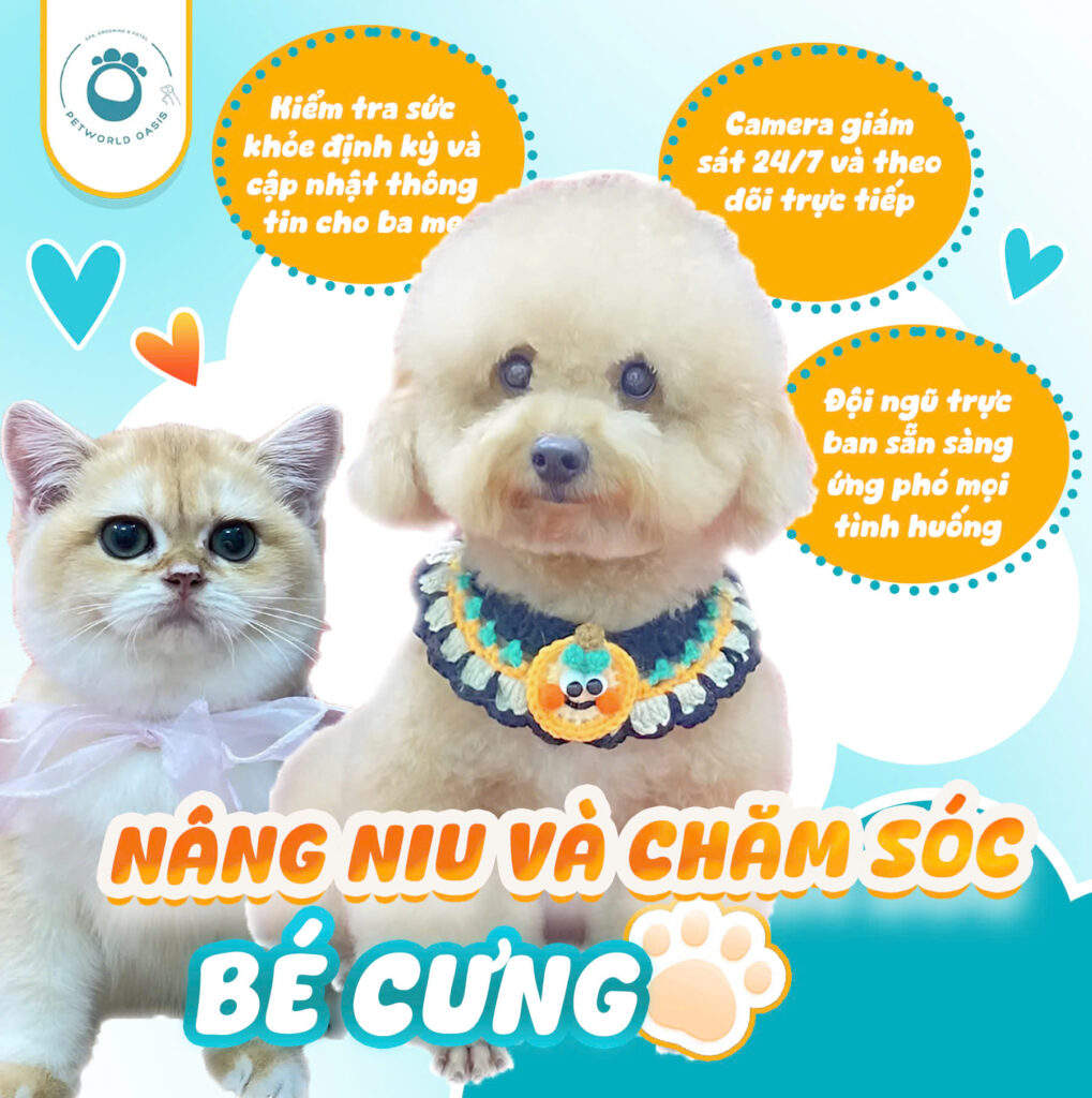 Dịch vụ thú cưng tại TPHCM