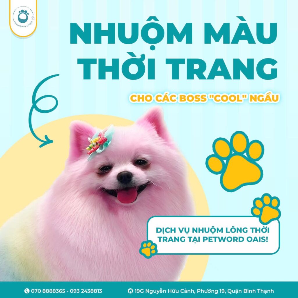 Dịch vụ spa cho pet