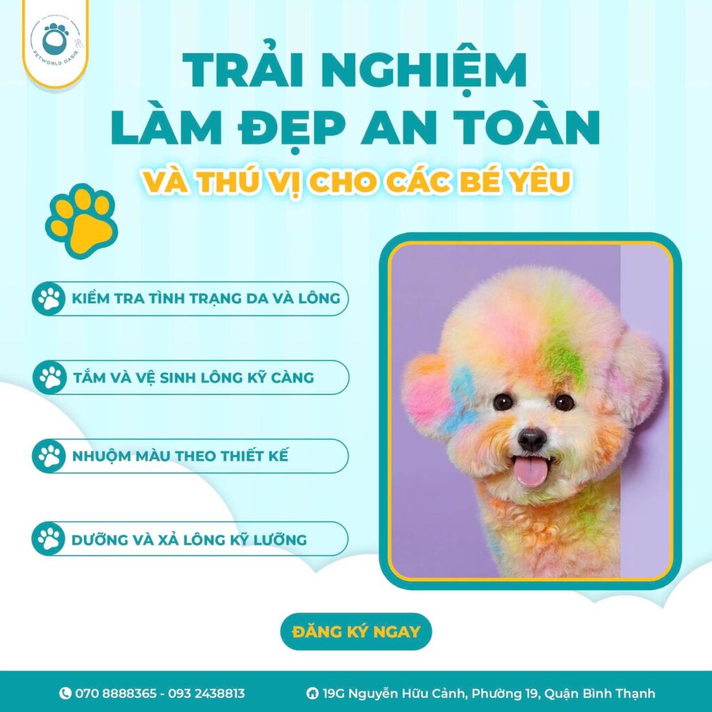 Thú cưng sau mỗi lần grooming