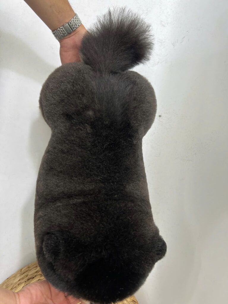 Tắm grooming chuyên sâu