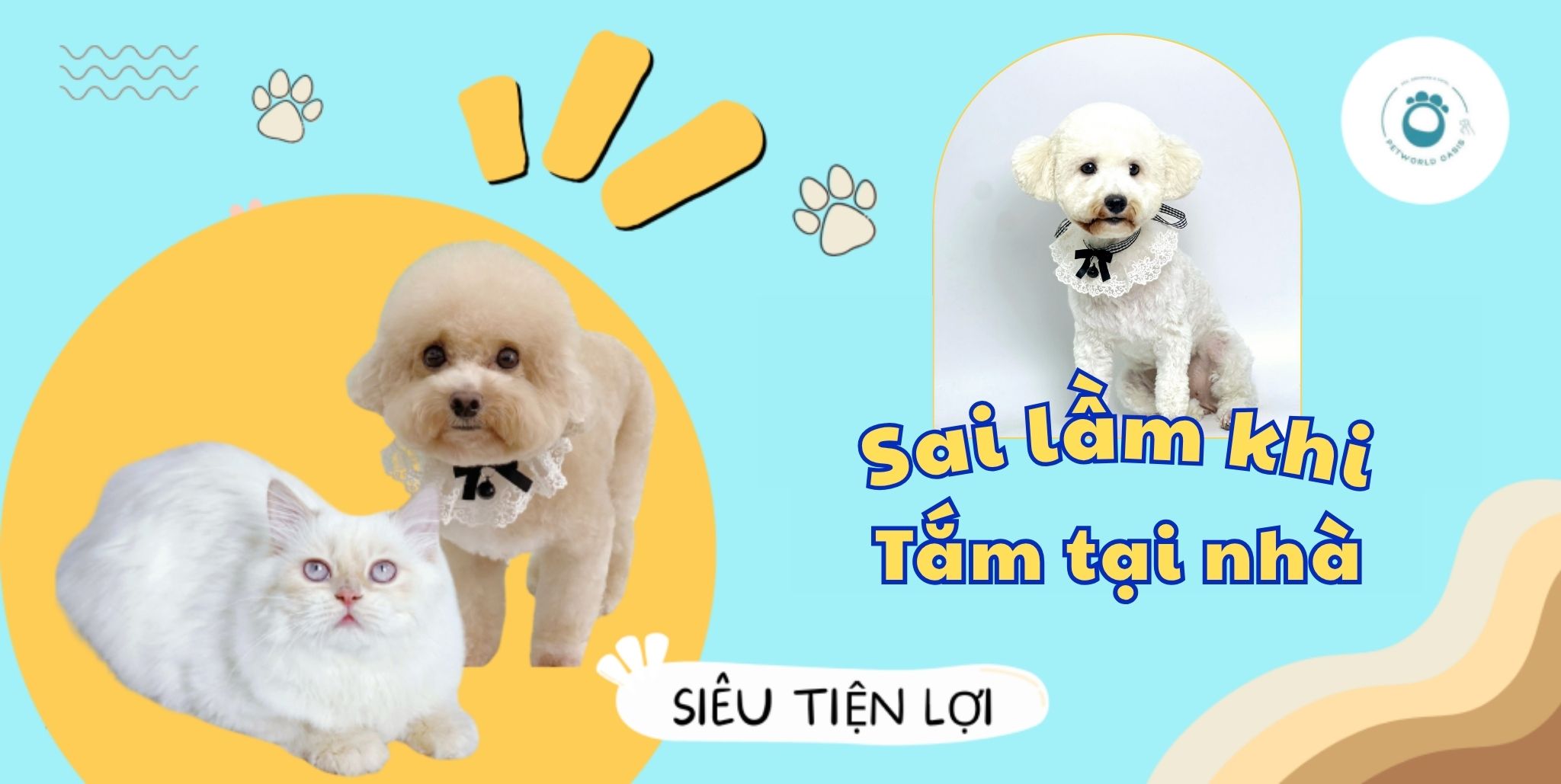 Tắm cho thú cưng