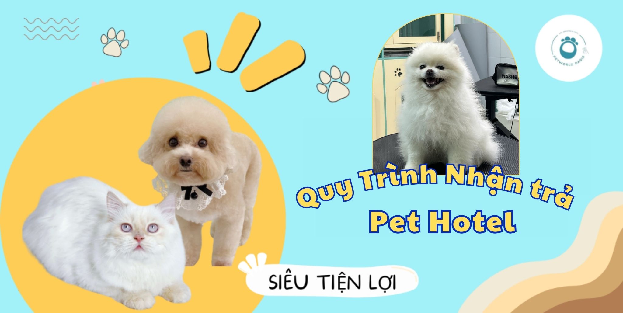 Pet Hotel tại PETWORLD OASIS