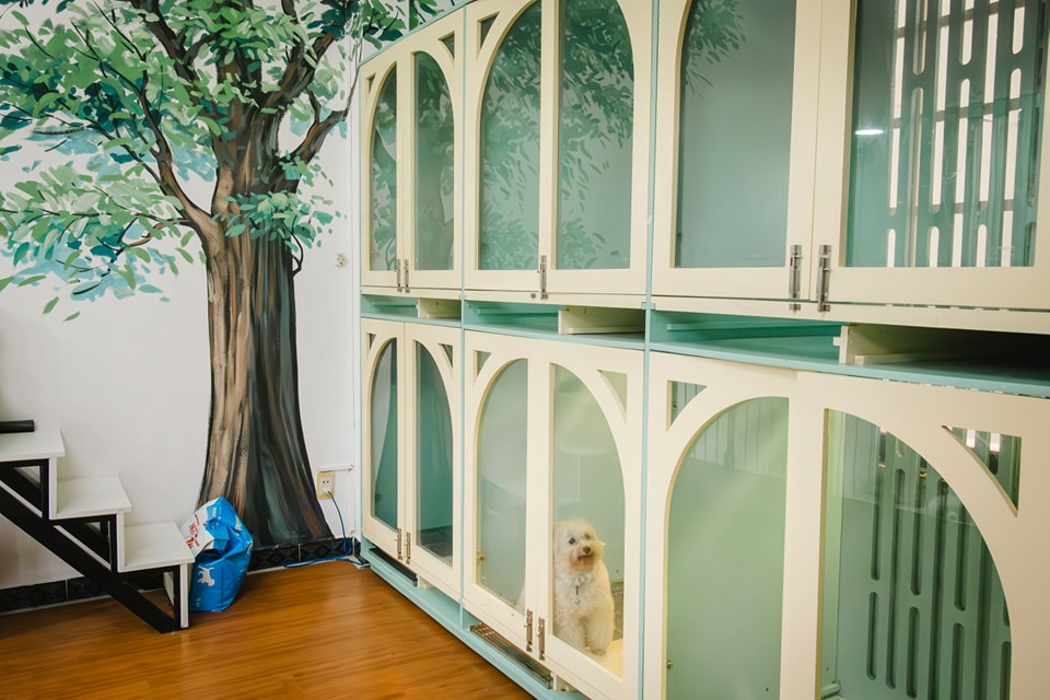 Review pet hotel tại TPHCM