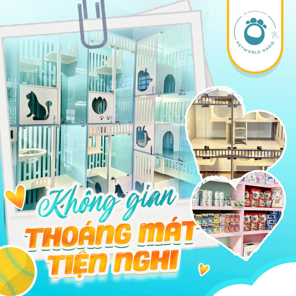 Khách sạn thú cưng an toàn