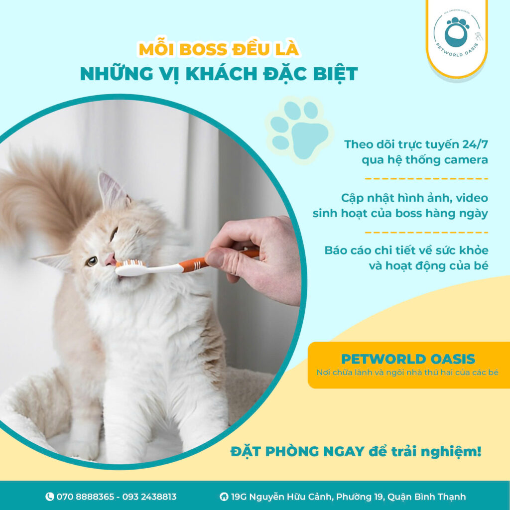 Khách Sạn Cho Chó Mèo