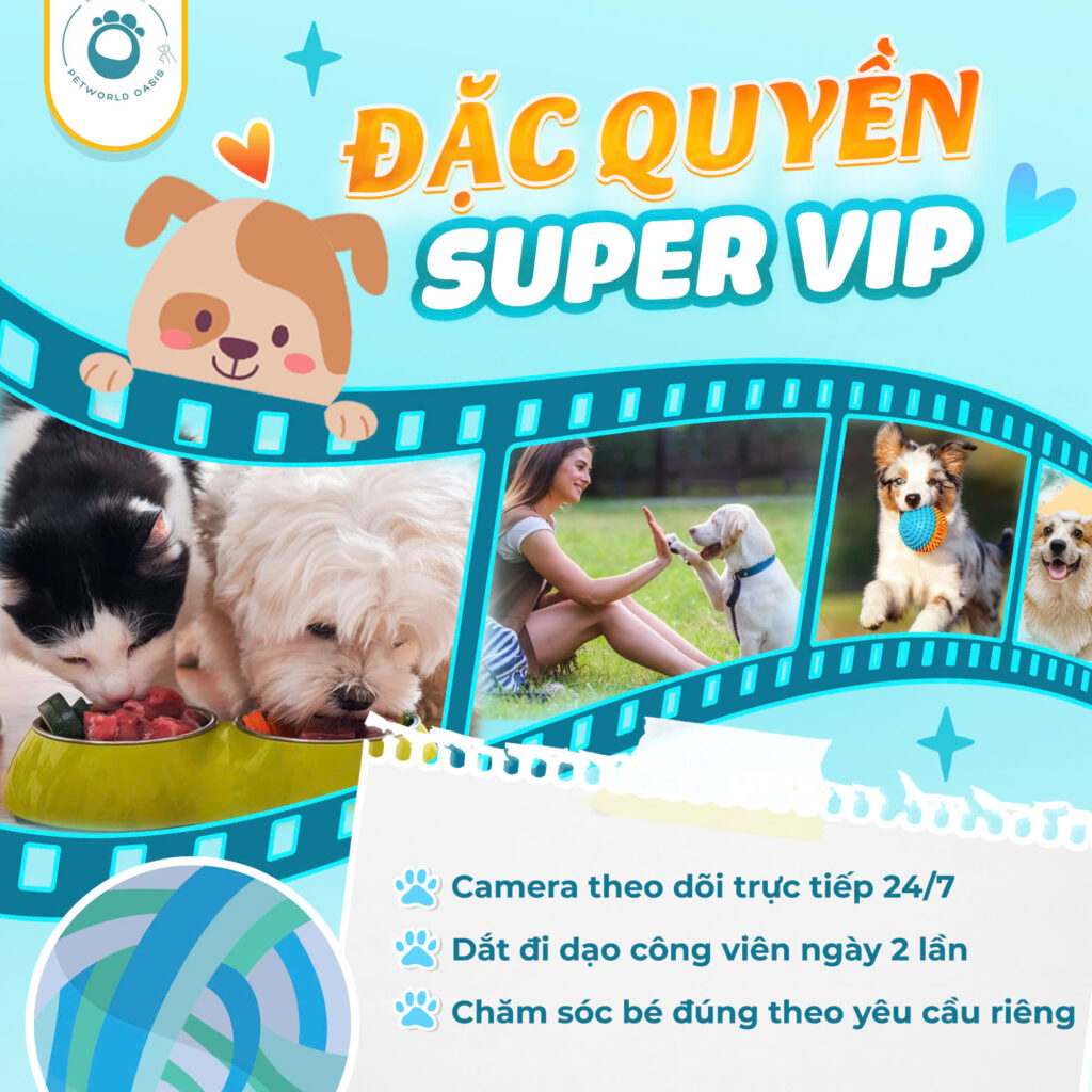 Pet Hotel Bình Thạnh