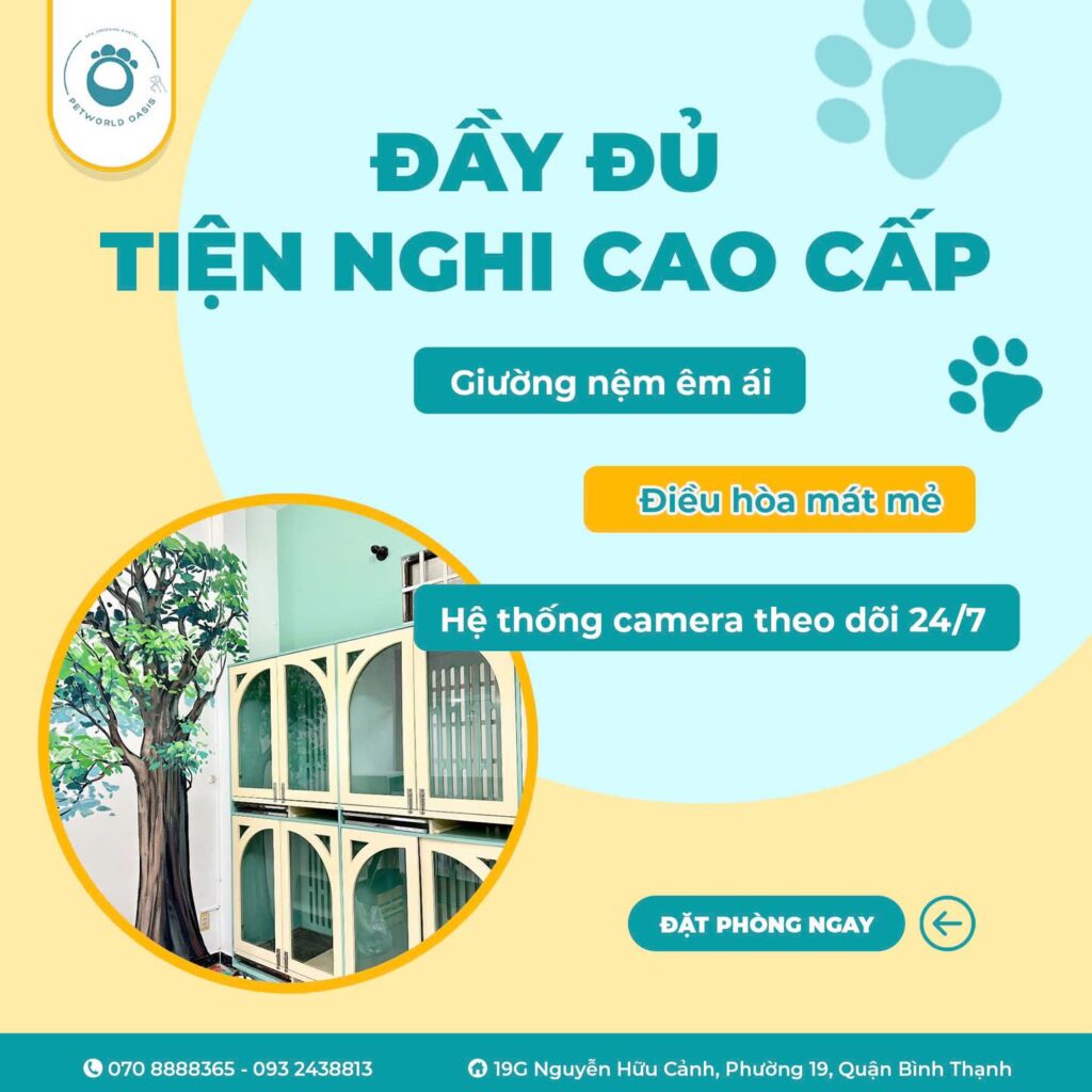 Chăm sóc Thú Cưng tại PET WORLD OASIS
