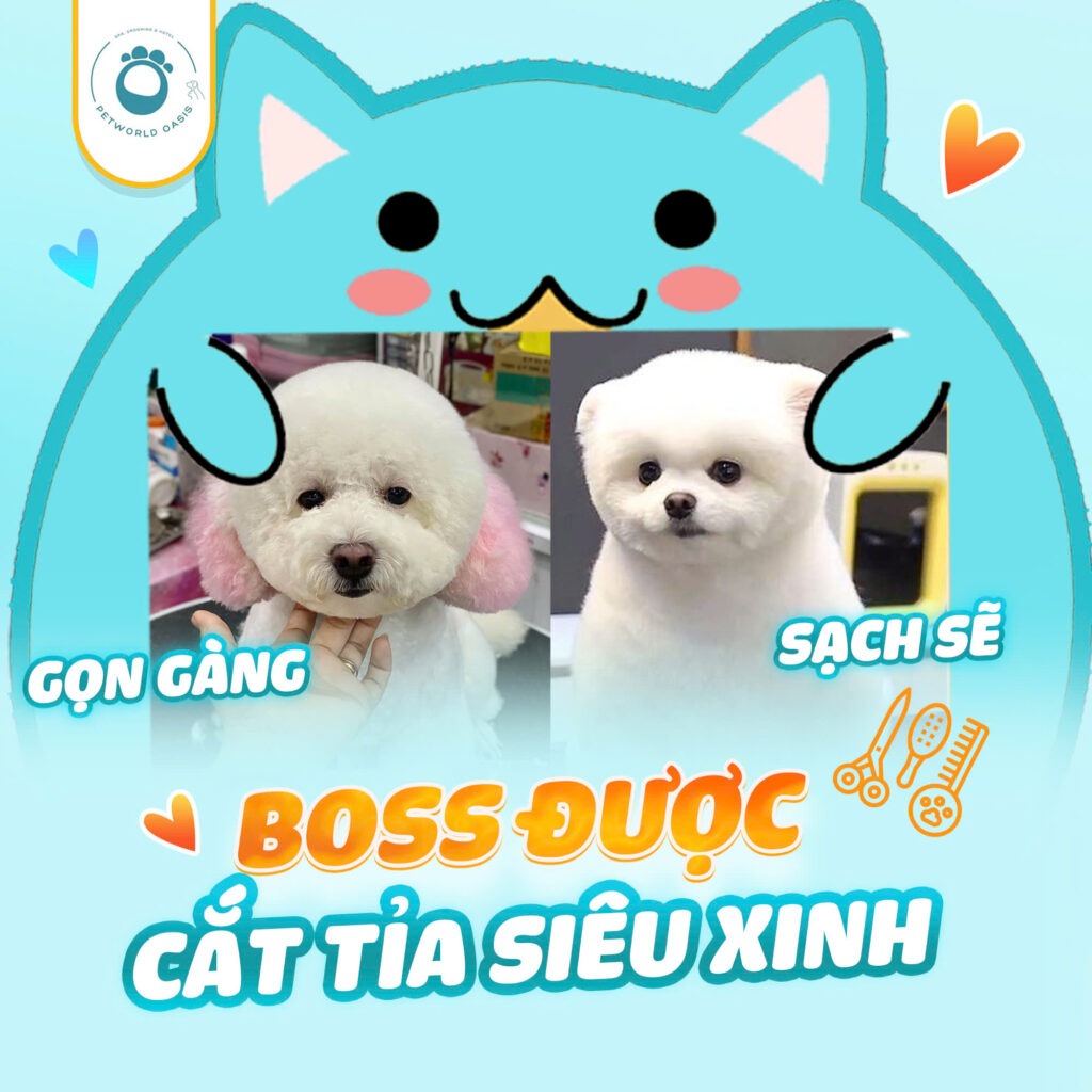Chăm sóc thú cưng tại PETWORLD OASIS