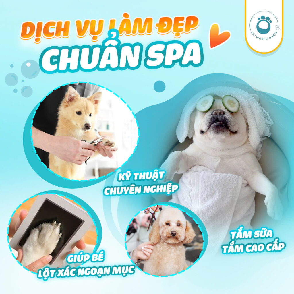 Spa và grooming cho thú cưng