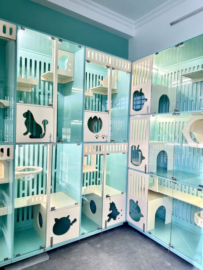 Gửi thú cưng tại Pet Hotel