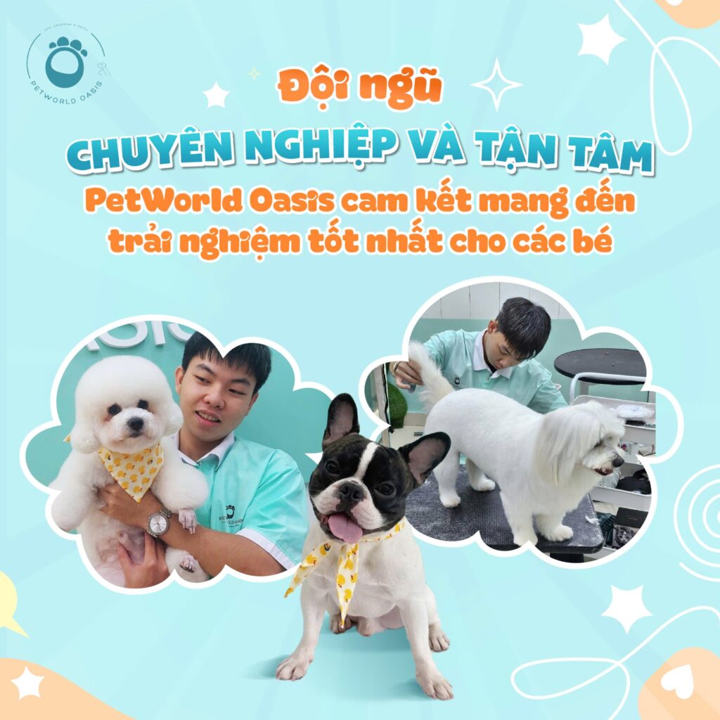Chăm sóc thú cưng tại PETWORLD OASIS