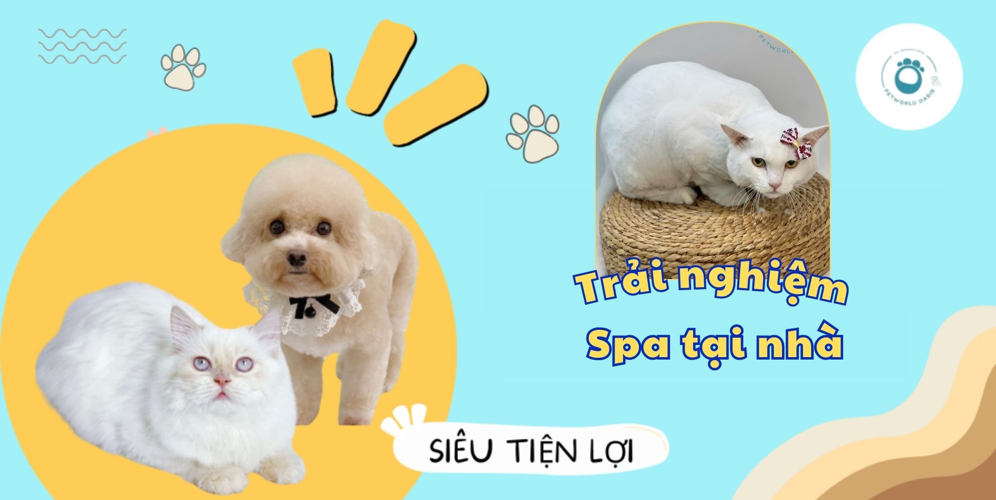 Thú cưng trải nghiệm Spa tại nhà