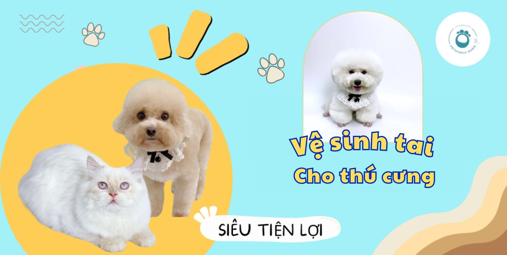 Vệ sinh tai cho thú cưng