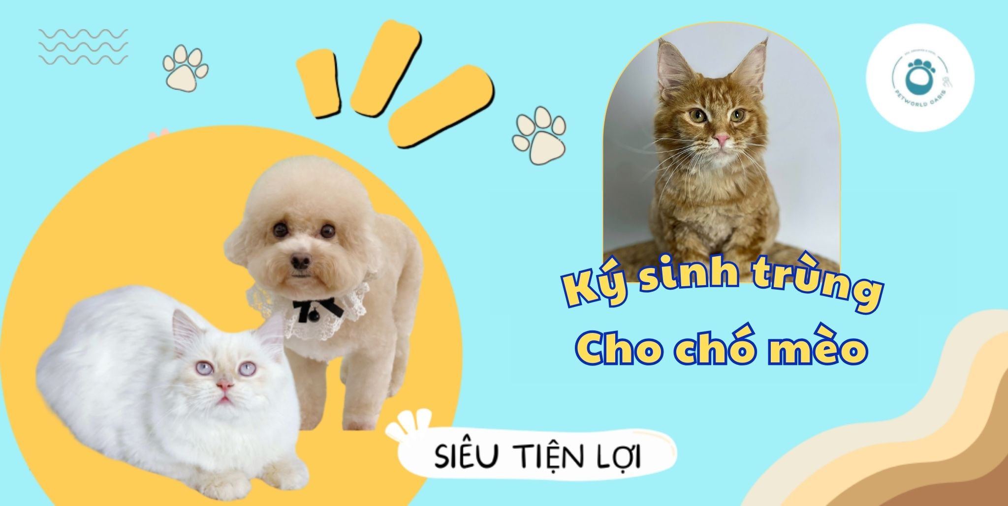 Ký sinh trùng ở chó mèo