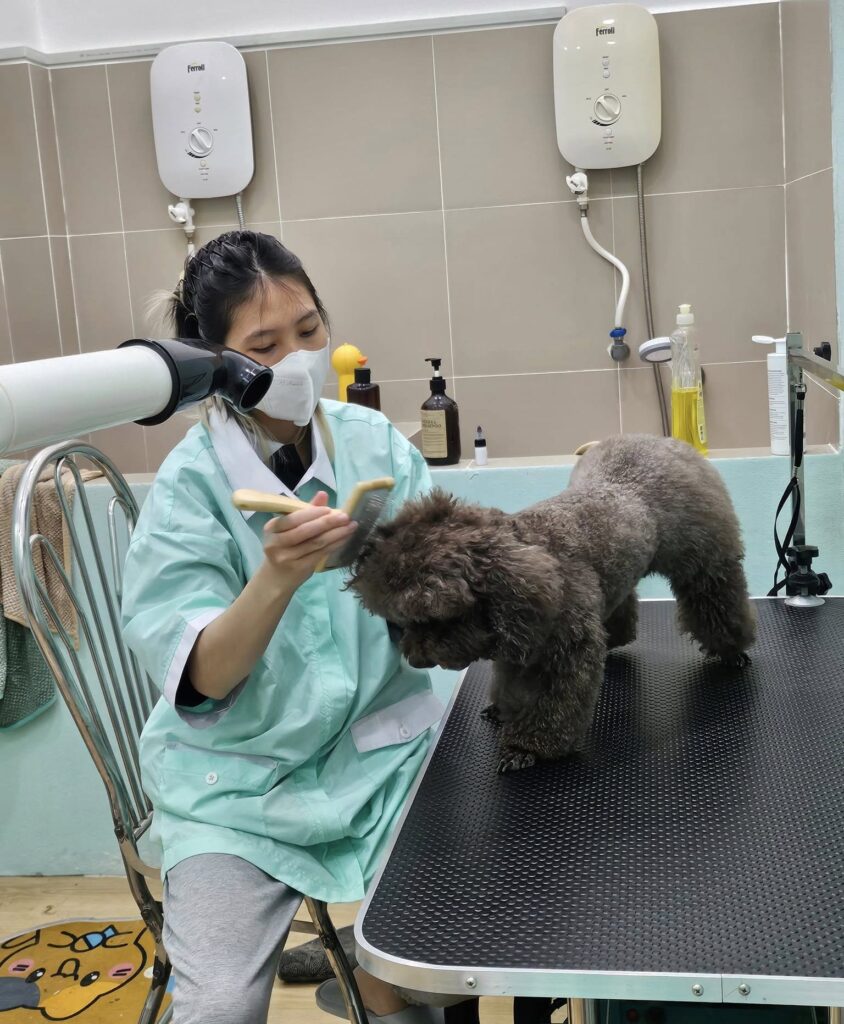 Chăm sóc thú cưng PETWORLD OASIS